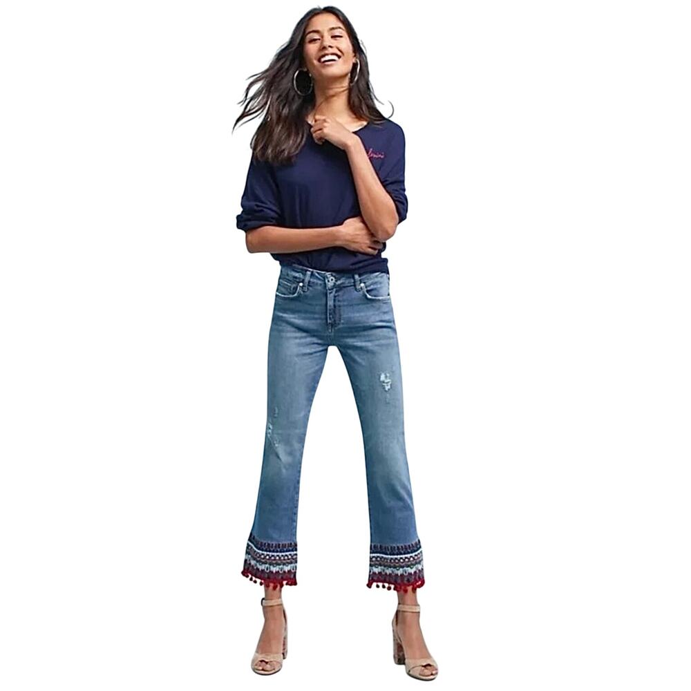 Anthropologie Pilcro & The Letterpress Embellished Cropped Straight Leg Jeans 27